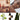 Collage of ingredients and models for Manasi 7 Botanical Face Cream Furora