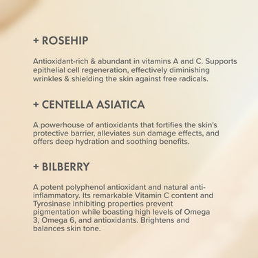 The Organic Pharmacy Rose Rejuvenating Face Cream