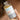 The Organic Pharmacy Vitamin C Serum