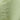 Ere Perez Green Tea Oil Control Paper with text benefits text