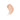 Pale peach swatch of Josh Rosebrook Ultra Peptide Cream