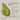 Ceremonial grade matcha powder with Kiki Health branding on a beige background