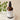 Evolve Daily Detox Face Wash