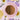 Cosmic Dealer Organic Tea - She Slept For 100 Years