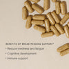 Wild Nutrition Breastfeeding Support