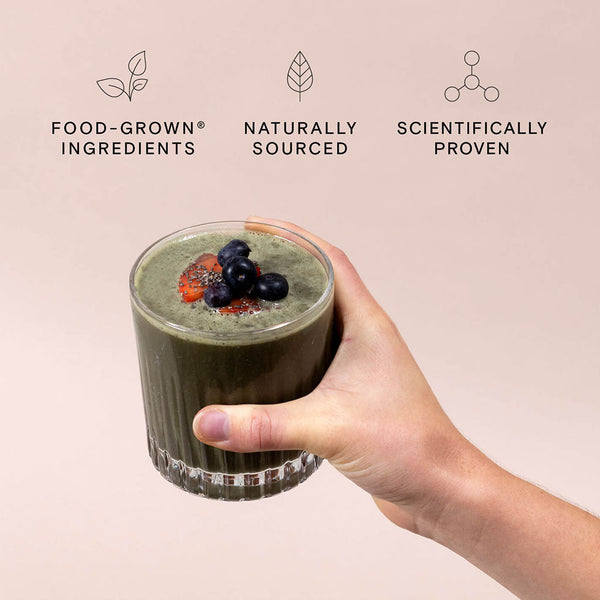 Wild Nutrition Organic Protein + Superfood Powder