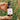 Wilder Botanics Sacred Hand & Body Wash