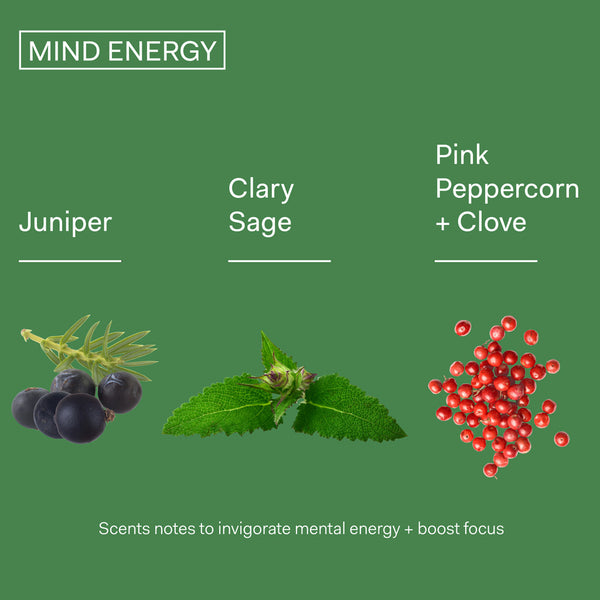 The Nue Co Mind Energy Travel Size