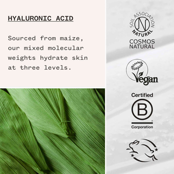 Pai Hyaluronic Acid Hydrating Booster