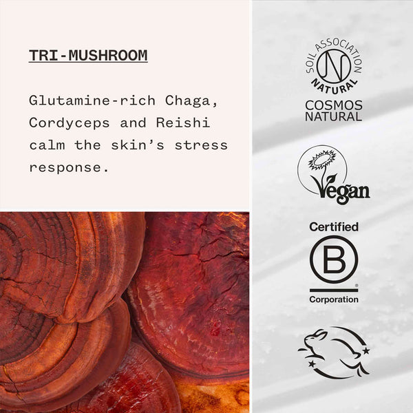 Pai Tri-Mushroom Super Soothing Booster