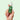 Ere Perez Quandong Green Booster Serum