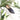 Taylor + Thomas Talitha Babouche | Vegan Shoes | UK Stockist