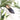 Taylor + Thomas Talitha Babouche | Vegan Shoes | UK Stockist