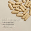 Wild Nutrition Energy Support