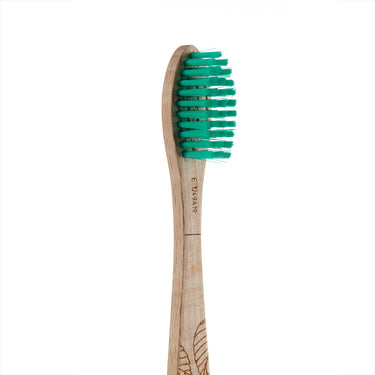Georganics Beechwood Toothbrush Medium | Online & UK Store | Content