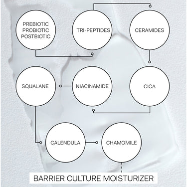 The Nue Co Barrier Culture Moisturiser | Natural Skincare UK