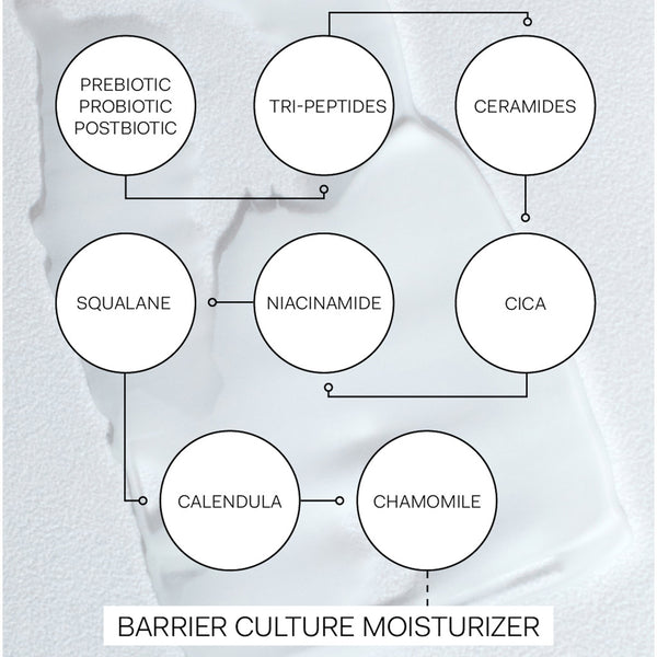 The Nue Co Barrier Culture Moisturiser | Natural Skincare UK