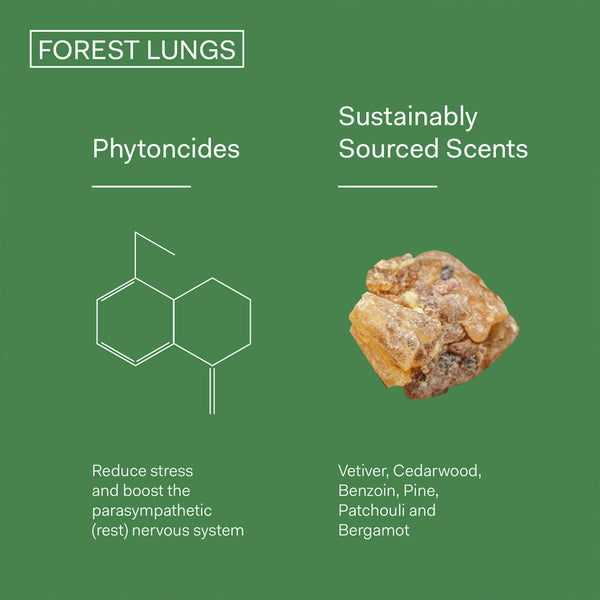 The Nue Co Forest Lungs 10ml | Natural Stress Supplement UK